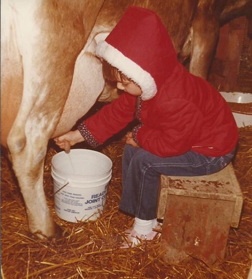 Christmas Milking