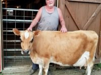 DC Fanciful Shower with breeder Tim O'Donnell