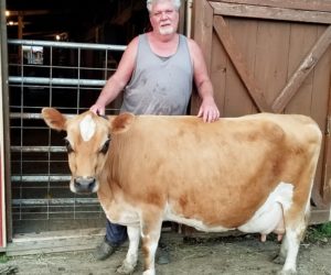 DC Fanciful Shower with breeder Tim O'Donnell