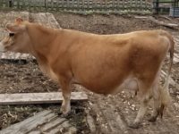 DC Dolly Madison May 2018