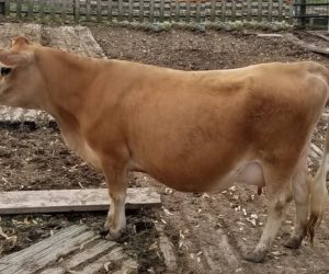 DC Dolly Madison May 2018