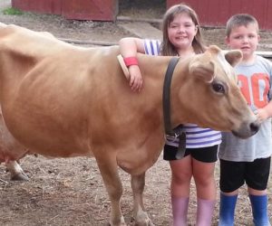 Barnyards Mini Miss Kitty