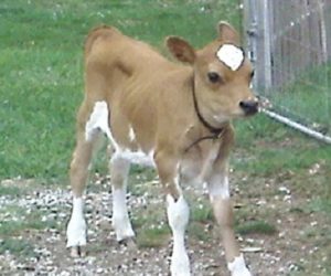 Shower at 2 months old