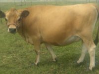 Tiffany, daughter of Lil Dream